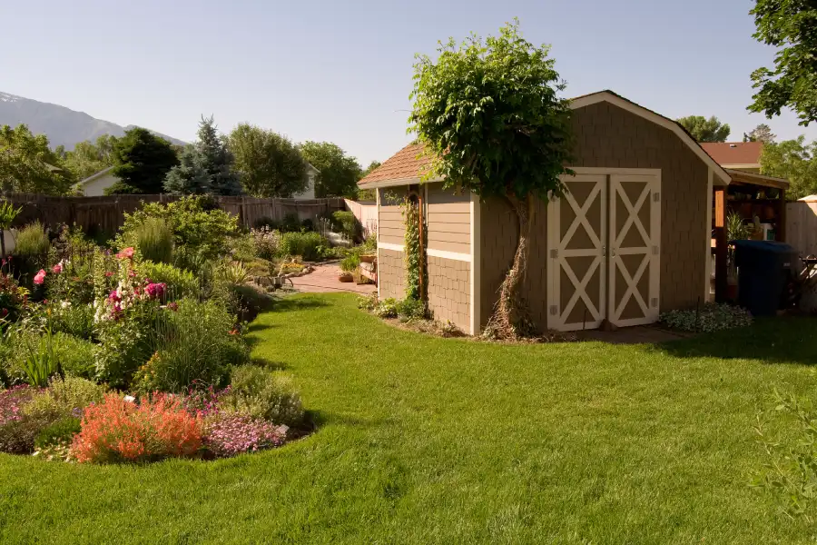 Professional Shed Builder Professional Shed Builder